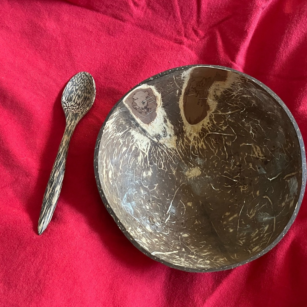 Handmade coconut bowl and spoon